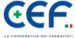 CEF Canale Aziendale Logo